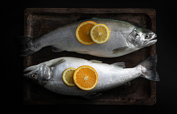 Article image for New York aquaculture startup LocalCoho snags multimillion-dollar investment