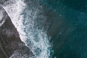 Ocean ‘dead zones’ are growing, with human activity exacerbating the problem