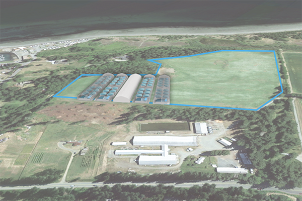 Article image for Land-based salmon aquaculture facility proposed for British Columbia
