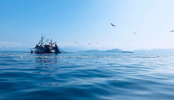 climate change resilience