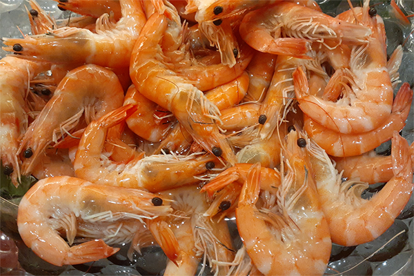 Article image for Opinion: There is a global disconnect between farmed shrimp production and its markets