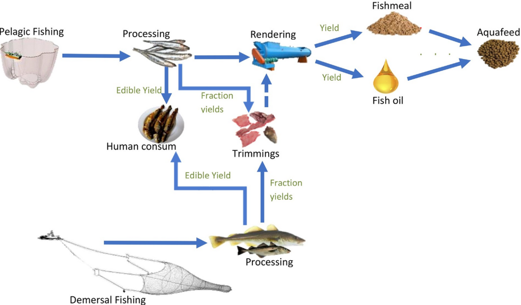 Life cycle inventories of marine ingredients - Responsible Seafood Advocate