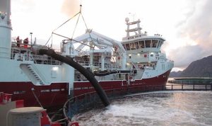 Are stress hormones to blame for rising infections in Norwegian farmed salmon?