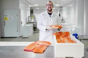 Supercooling Norwegian salmon before transport could save industry millions