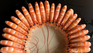 It pays to be pink: Farmed shrimp production chain protects its price points with pigmentation