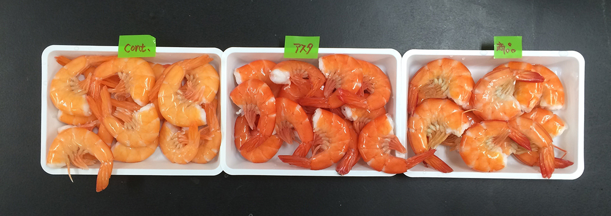 shrimp pigmentation