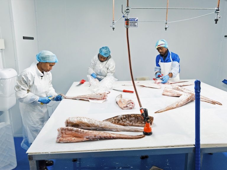 Featured image for Cape Fish First in South Africa to Earn Best Seafood Practices Certification