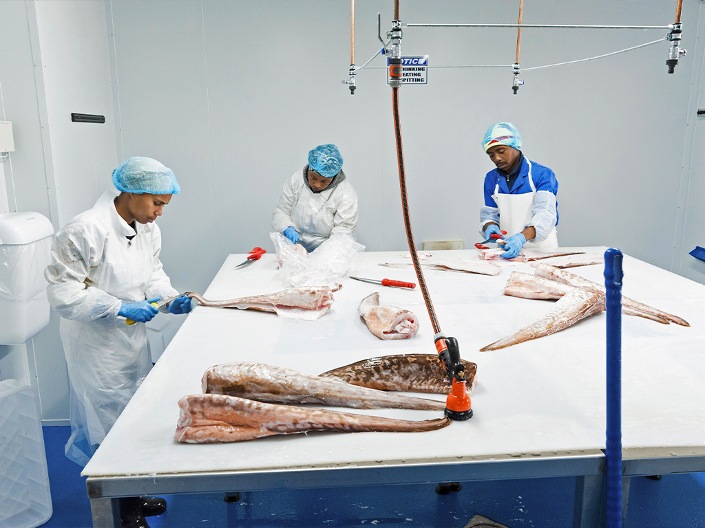 Article image for Cape Fish First in South Africa to Earn Best Seafood Practices Certification