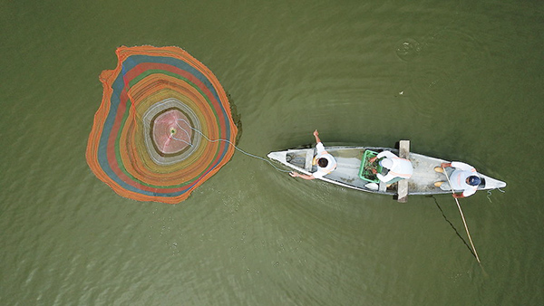 Article image for Dutch companies keen on new shrimp feed that includes more insects and algae