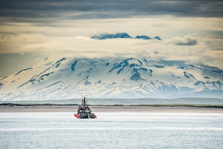 Article image for Even with Pebble Mine dead in the water, mining-fishing collisions may be inevitable