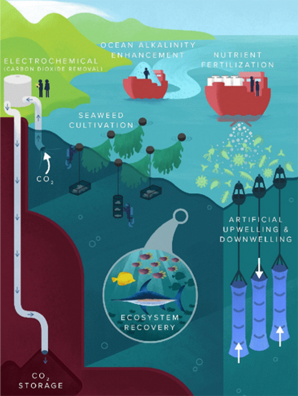 deacidification