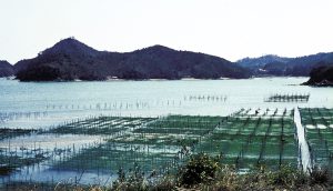 Marine aquaculture and ocean deacidification technology