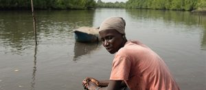 FISH4ACP and The Gambia strike 10-year agreement to transform mangrove oyster production