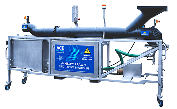 Article image for Ace Aquatec launches in-water portable prawn stunner to improve aquaculture welfare