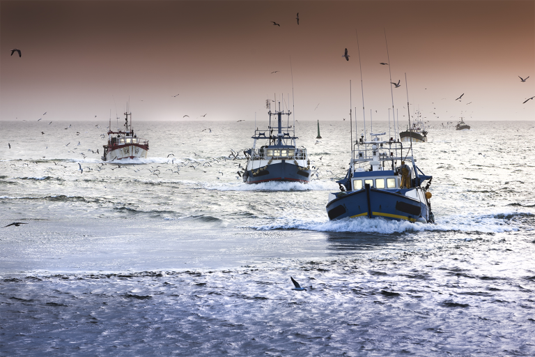 Article image for ‘We want change’: How a seafood database aims to influence seafood investment decisions