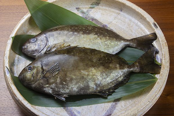 Article image for ¿Ofrece la cría de pez conejo una solución al desperdicio de alimentos en Japón?