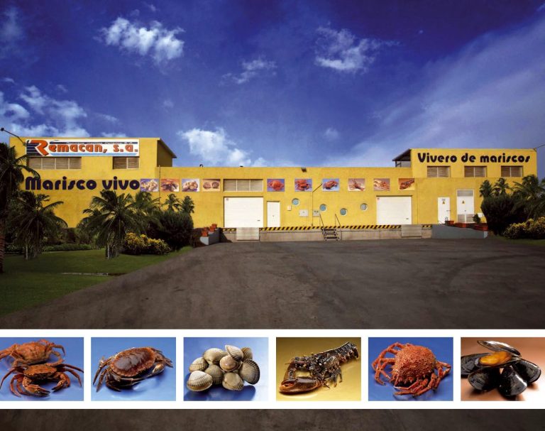 Featured image for Remacan Canarias Commits to Sourcing BAP, BSP-Certified Seafood