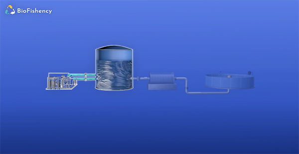 recirculated aquaculture systems