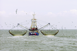 Estado y perspectivas futuras de la aplicación de blockchain en la pesca y la acuacultura mundiales