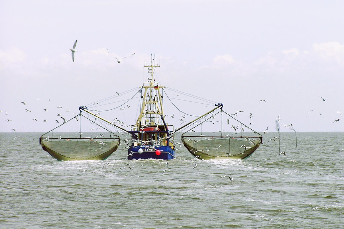 Blockchain applications in the fishing industry