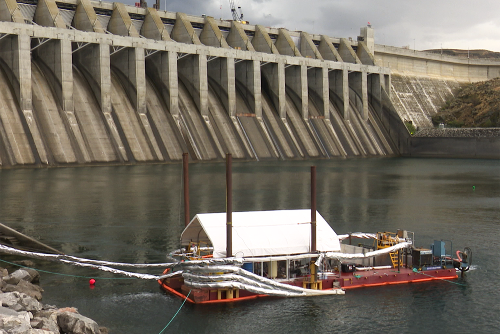 Article image for Through the tubes: Using pneumatic tubes to transport fish, this company’s fish passage is in demand