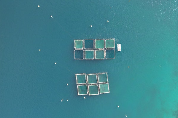 impact of aquaculture on environment