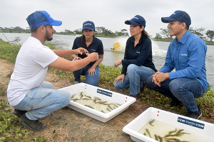 Is ‘technology-verified storytelling’ the new way to sell responsibly sourced shrimp?