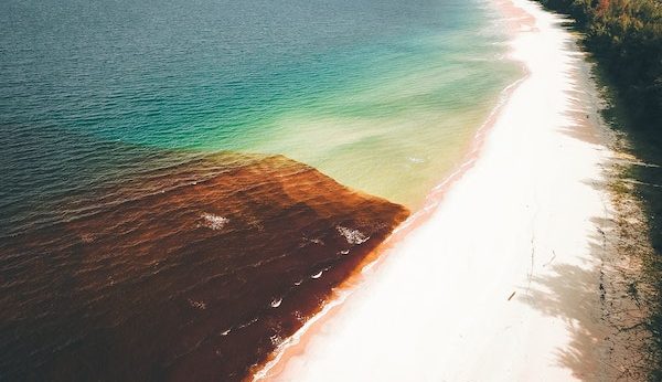 harmful algal blooms