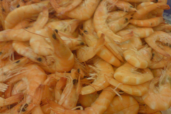 Subproducto de camarón marrón 