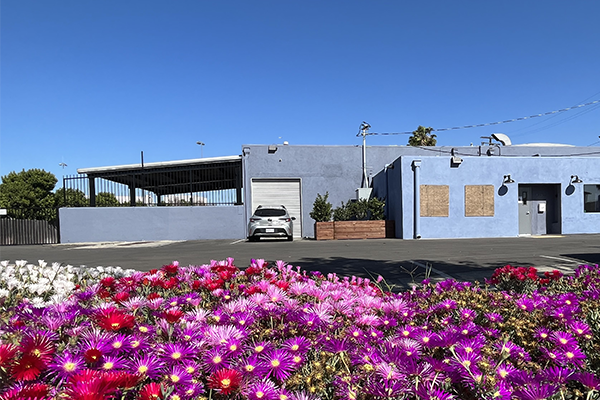 Los Angeles shrimp farm