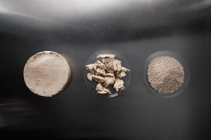 Aqua-Spark invests in Finnish biotech startup to scale up fungal protein production