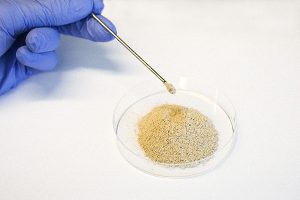 Can paper byproducts serve as a novel protein ingredient for aquaculture?