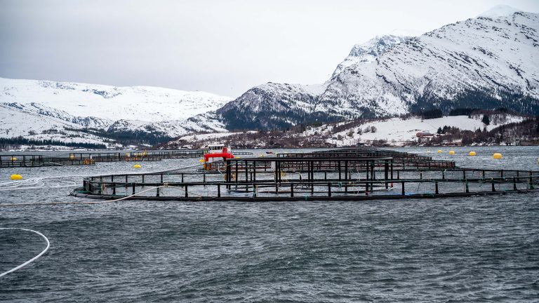 Article image for ‘Why not make an entire pen?’ Aquaculture equipment company putting recycled plastic to the strength test