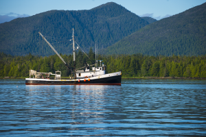Fisheries in Focus: What is the Fisheries Management Index and what does it say about U.S. fisheries?