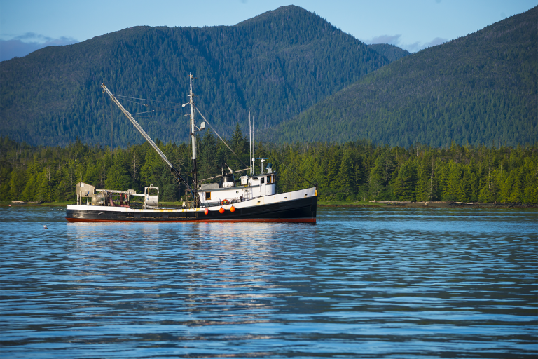 Article image for Fisheries in Focus: What is the Fisheries Management Index and what does it say about U.S. fisheries?