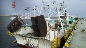 ‘It's been done for decades’ – How the upcoming Fukushima water release could impact Japan’s fishing industry