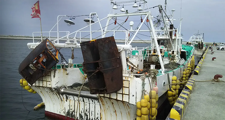 Image for article: Feature article: ‘It’s been done for decades’ – How the upcoming Fukushima water release could impact Japan’s fishing industry