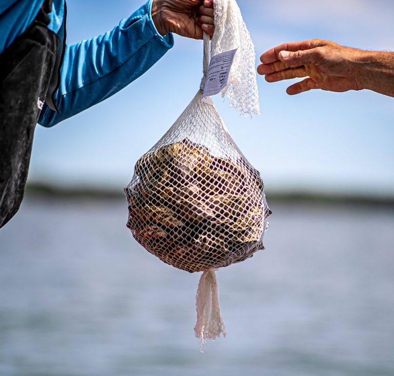 Article image for Brand new bag: Maine oyster farmers offer compostable bags made from beechwood