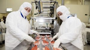 Workers at seafood processing facility