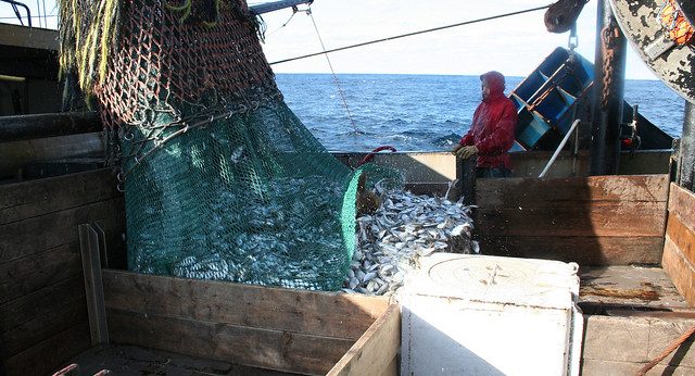 fisheries management