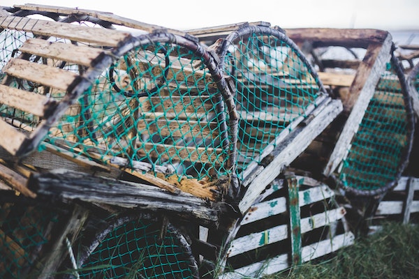Article image for Study: Southwest Nova Scotia waters ‘littered’ with ghost fishing gear