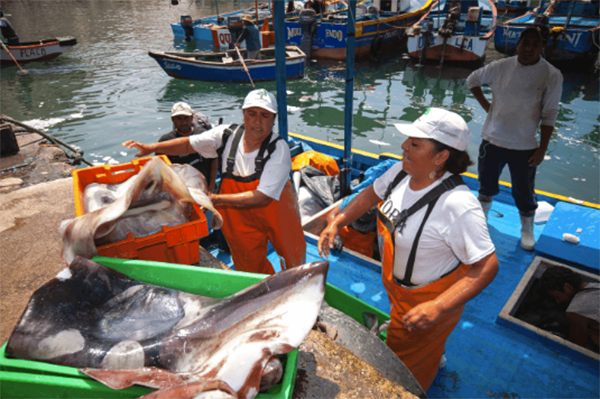 artisanal fishing