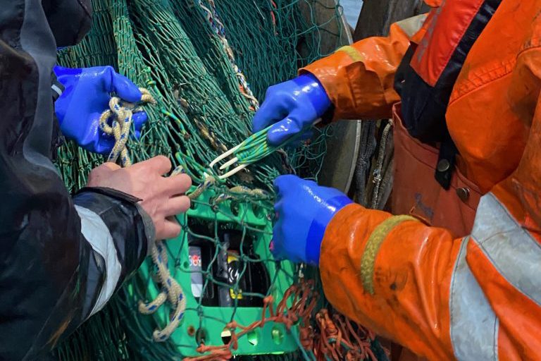 Article image for ‘A world down below’ – Deeper fishing insights lead to better tools for bycatch reduction