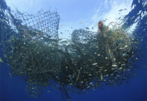 Can using biodegradable fishing gear help reduce the cost of ghost fishing?