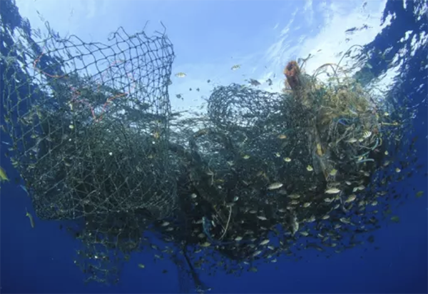 biodegradable fishing gear