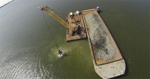 World’s largest oyster reef restoration project shows ‘significant progress’