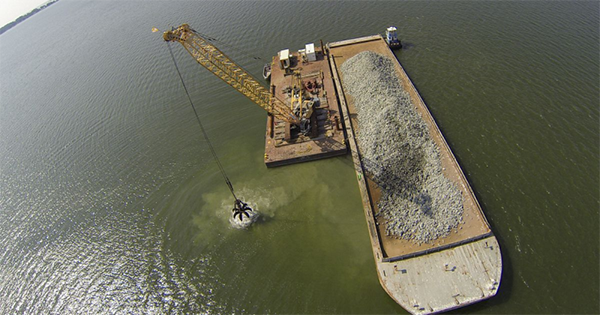 oyster reef restoration