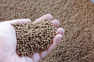 Survey reveals the prevalence of mycotoxins in livestock and aquatic animal feeds