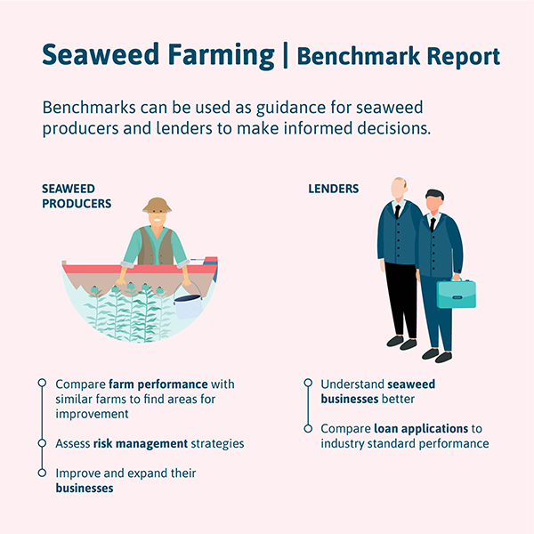 seaweed benchmarking