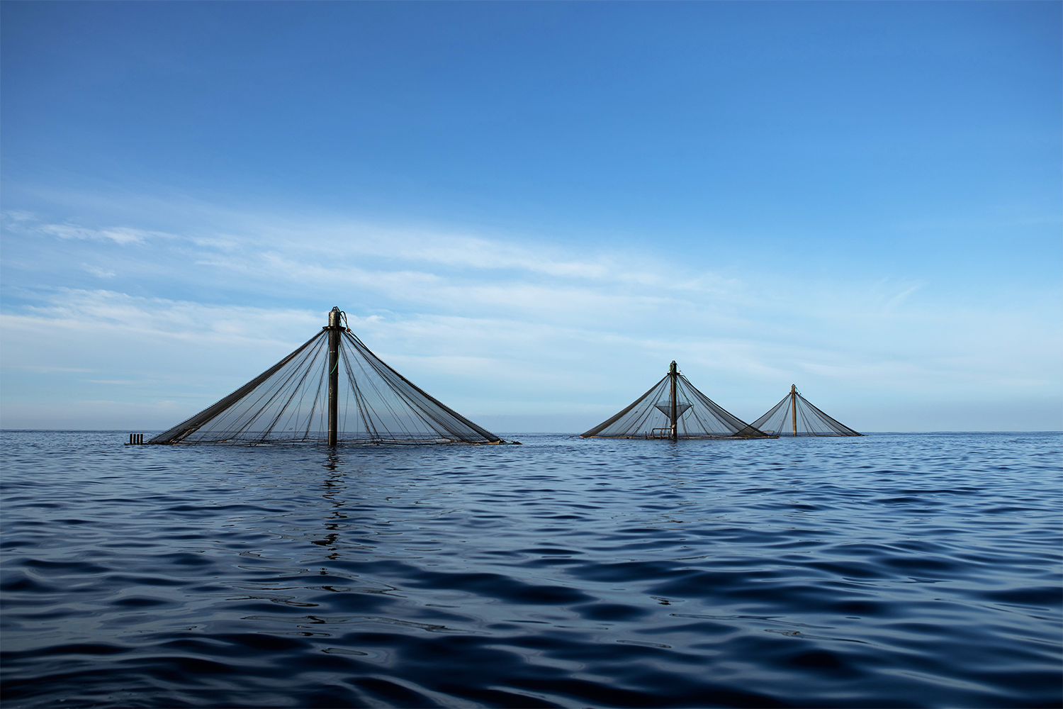 offshore aquaculture